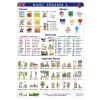 Basic English I - A4