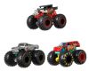 HW MONSTER TRUCKS 1:64 S ANGLIČÁKEM ASST