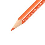 Trojhranné pastelky - STABILO Trio silná krátká Animal Vibes - 12 ks sada - s motivy zvířat