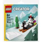 LEGO® Creator 30718 Snežné dobrodružství s Kočkou Vločkou