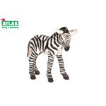 A - Figurka Zebra hříbě 7 cm