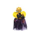 Set karneval - čarodějnice/pavouk