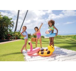 59220NP Kruh zvířátko