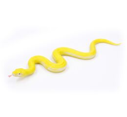 Had gumový měkký 60 cm