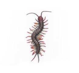 Stonoha obrovská gumová 23 cm