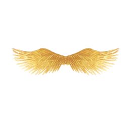 Křídla andělská zlatá