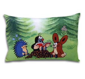Polštář Krtek 45x30 čtenáři