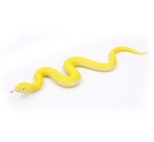 Had gumový měkký 60 cm