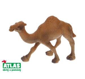 B - Figurka Velbloud jednohrbý 11 cm