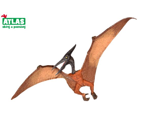 C - Figurka Dino Pteranodon 22 cm