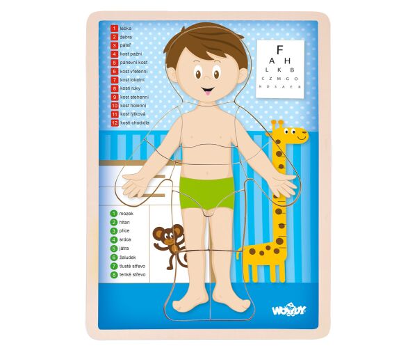 Puzzle Lidské tělo - Kluk CZ
