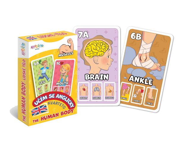 Kvarteto Učím se anglicky - The Human Body